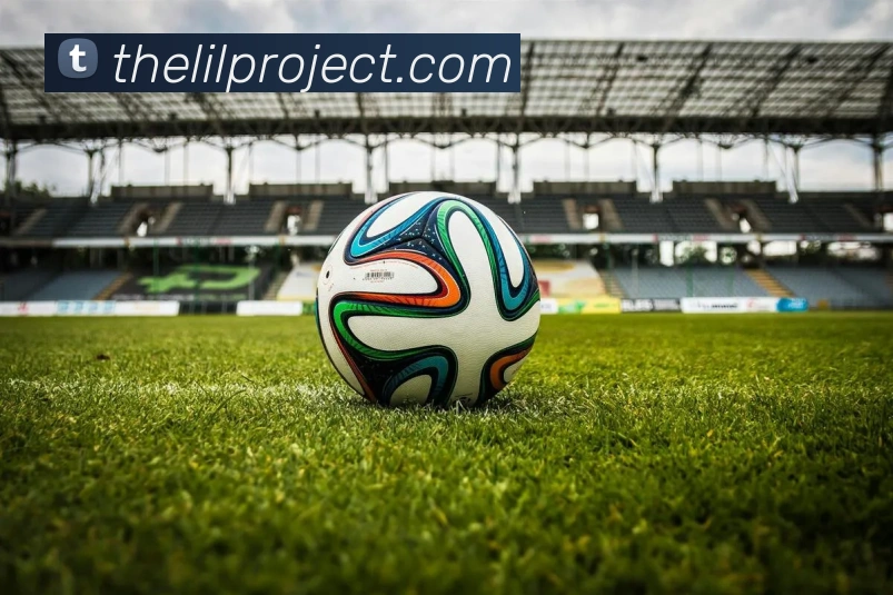 App Interface Preview